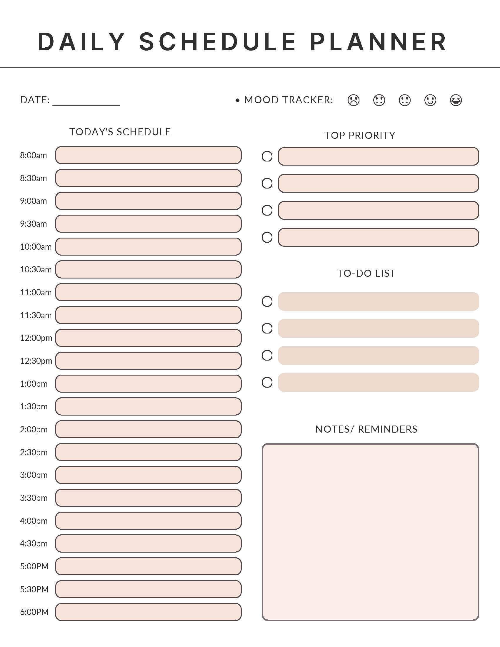 Daily Planner Template 9